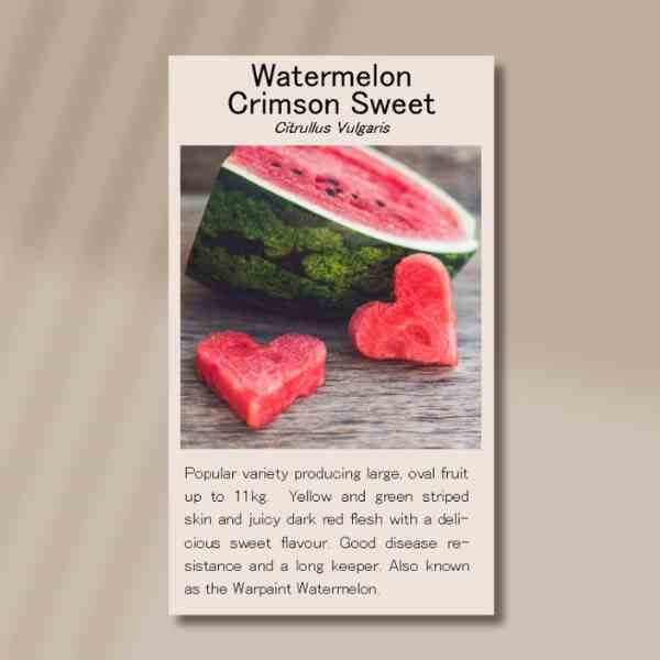 watermelon-crimson-sweet-front watermelon-crimson-sweet-front