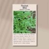 wild-rocket-front