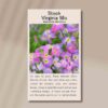 flower-stock-front