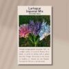 larkspur-imperial-mix-front
