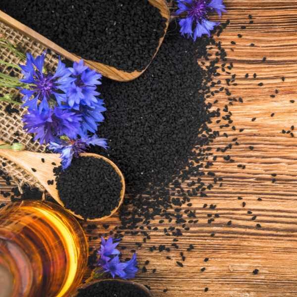 nigella-persian-jewels-seed-2 nigella-persian-jewels-seed-2