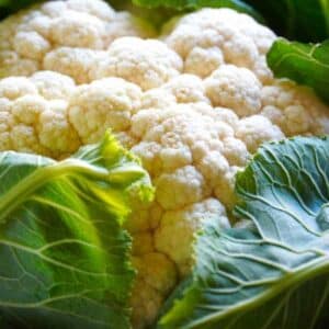 Cauliflower Snowball