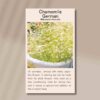 chamomile-front