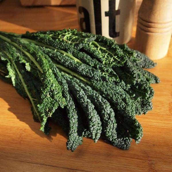 kale nero de toscano seeds