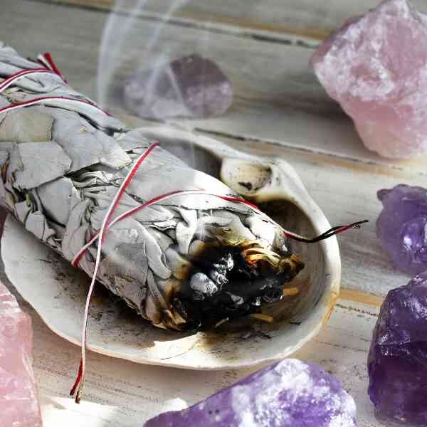 white-sage-seeds-1 white-sage-seeds-1
