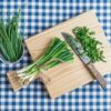 bunching-onion-winter-ishikura-seeds-1