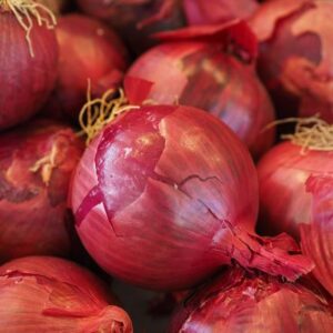 Onion Red Ripper