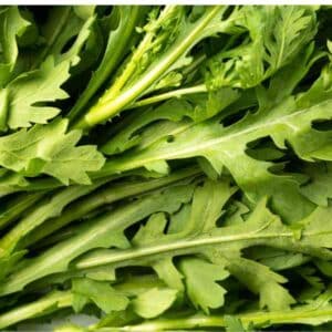 shungiku-seeds-1