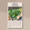 spinach-perpetual-front