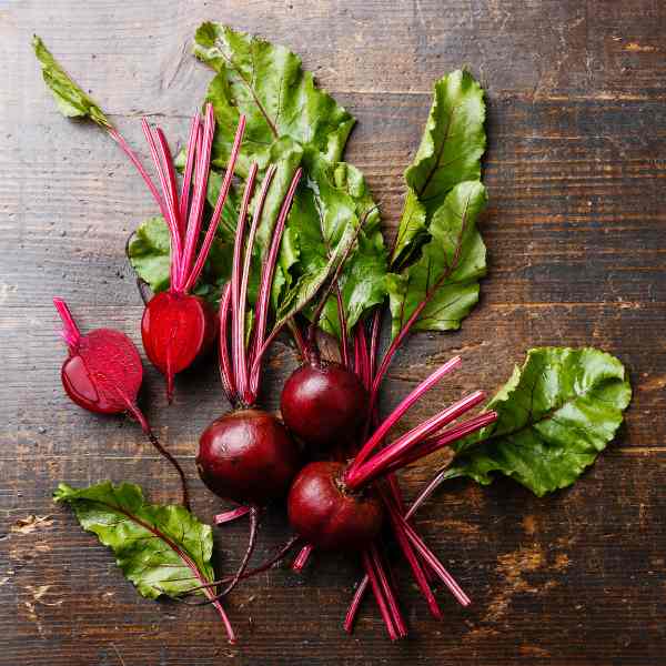 beetroot bulls blood seeds 1