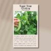 sugar-snap-climbing-front