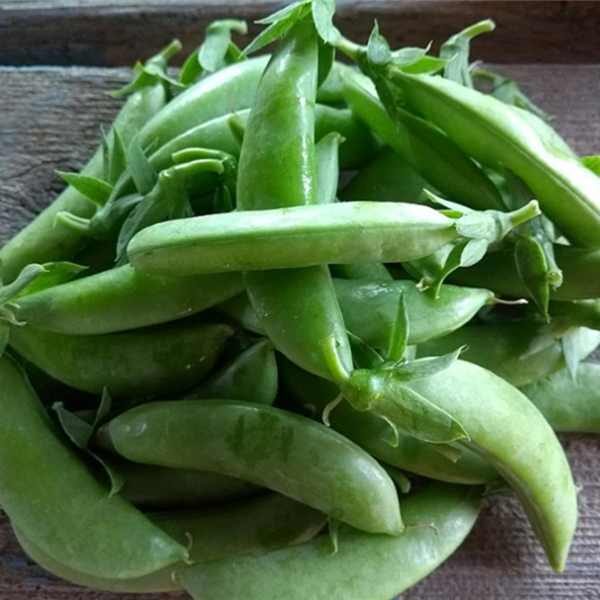 sugar-snap-climbing-pea-seeds sugar snap climbing peas on a wooden chopping board