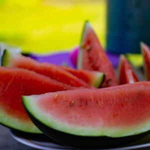 Watermelon Sugar Baby