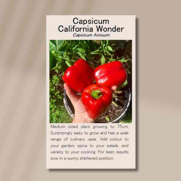 california-wonder-seeds-front california-wonder-seeds-front