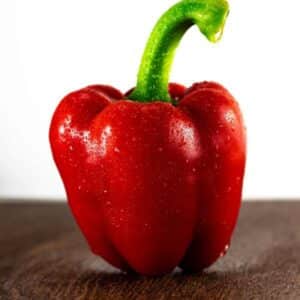 Capsicum