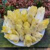 chicory-witloof-seeds-2