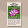 cosmos-candy-stripe-front