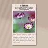 cosmos-picotee-front