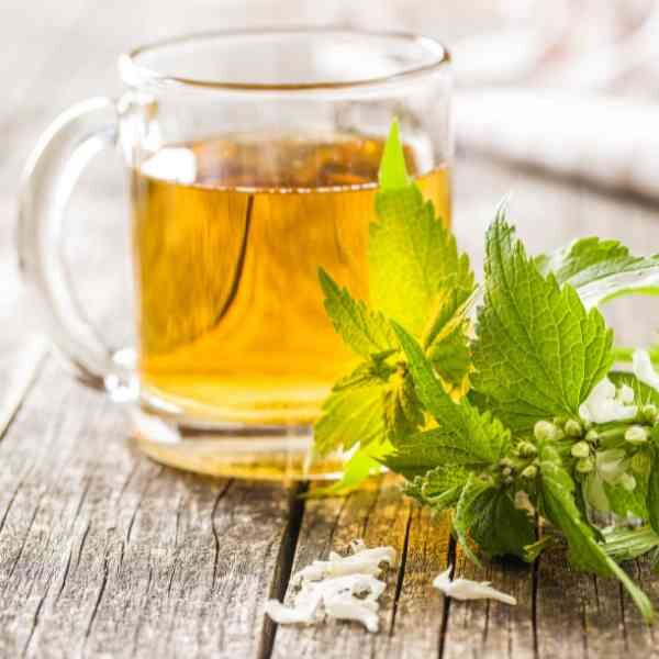 nettle-seeds-1 nettle-seeds-1