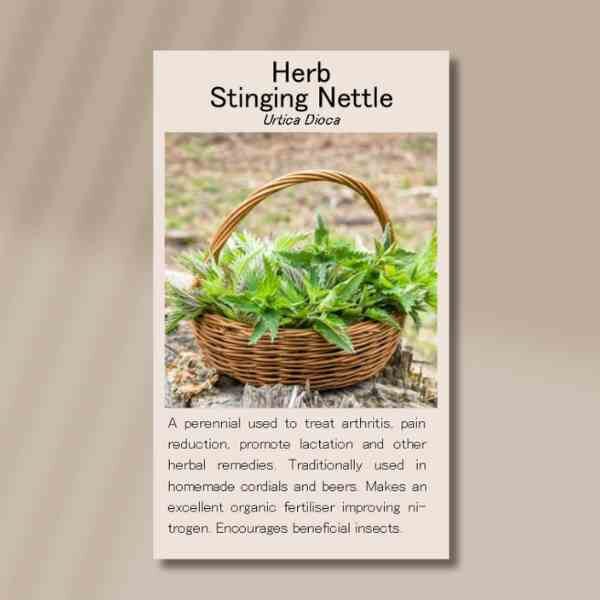 nettle-stinging-front nettle-stinging-front