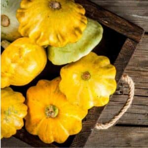 Squash