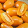 tomato-golden-roma-seeds-3