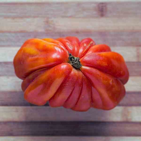 tomato-santorini-seeds-3 tomato-santorini-seeds-3