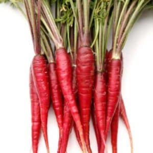 Carrot Atomic Red