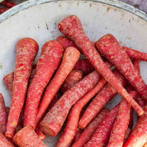 carrot atomic red seeds 2