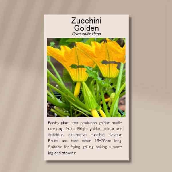 golden-zucchini-back (1) golden-zucchini-back (1)