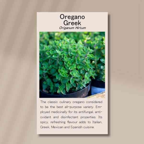 greek-oregano-front greek-oregano-front