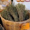 greek-oregano-seeds-1
