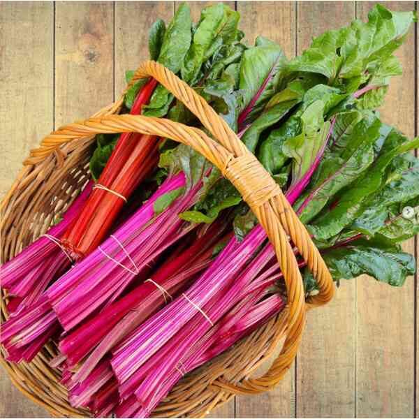 silverbeet-magenta-seeds-1 silverbeet-magenta-seeds-1