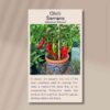chilli-serrano-seeds-front