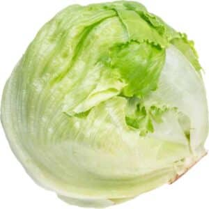 Lettuce Iceburg