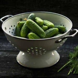 Cucumber Lebanese Beit Alpha