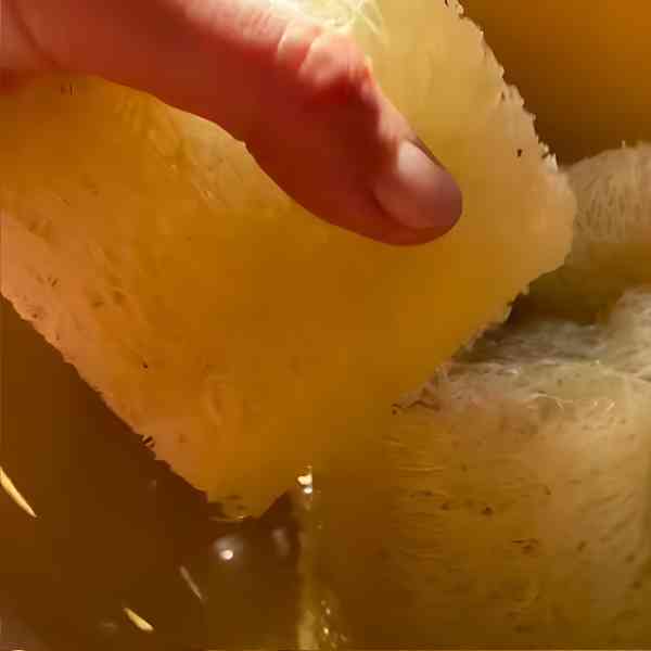 luffa post