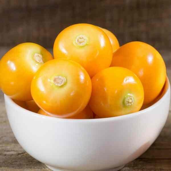 golden-sunrise-tomato -seed-1