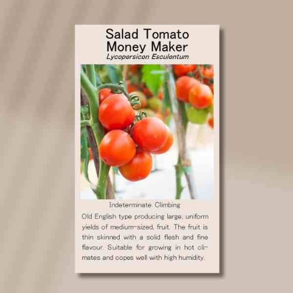 tomato-money-maker-front tomato-money-maker-front