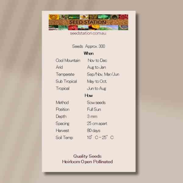 corn-flower-red-ball-seed-packet-back corn-flower-red-ball-seed-packet-back