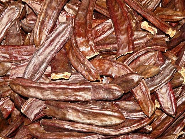 carob-seeds-gallery-2 carob-seeds-gallery-2