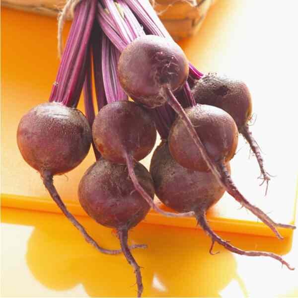 7 beetroot melbourne early boltardy beetroots hanging in a bunch