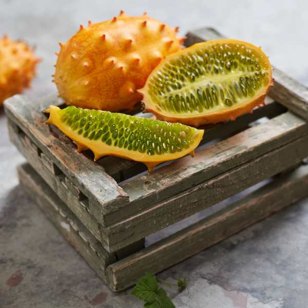 Discover the African Horned Cucumber