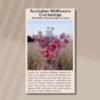 everlastings-front
