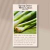 spring-onion-lisbon-front