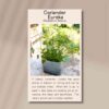 coriander-eureka-front
