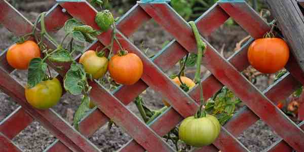 Copy of planning for spring post 9