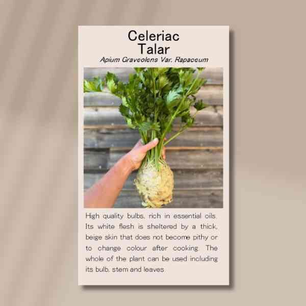talar-front talar-front
