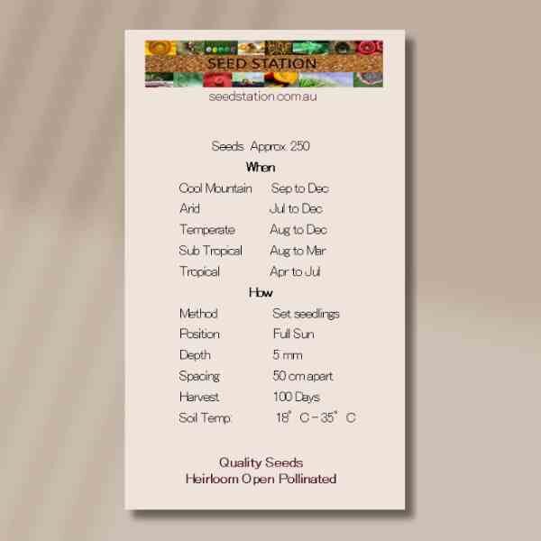 aster-giant-ray-seed-packet-back-1 aster-giant-ray-seed-packet-back-1