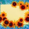 gloriosa-daisies-seeds4